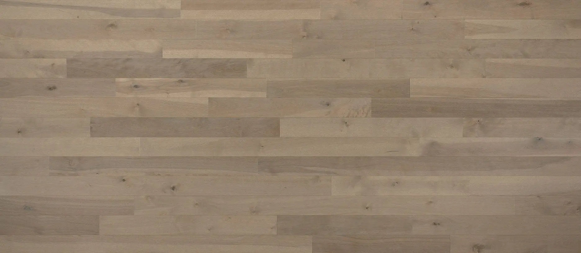 Expert - Talpa Yellow Birch - Solid Hardwood Lauzon