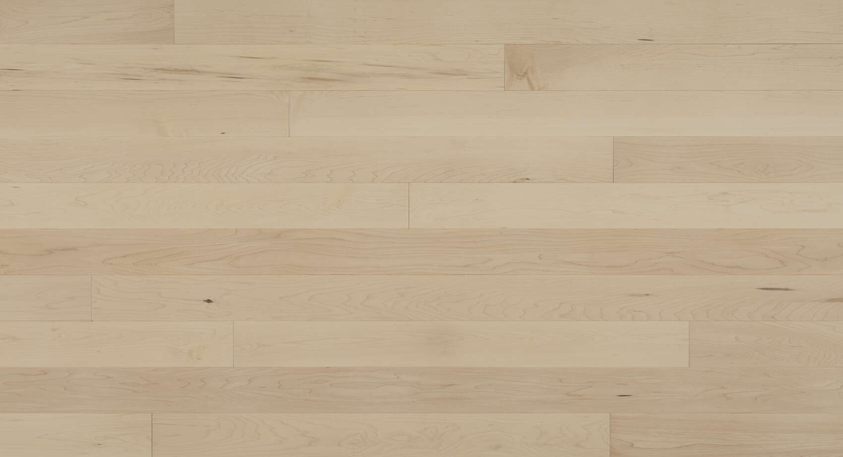 Expert - Boreal Maple - Solid Hardwood