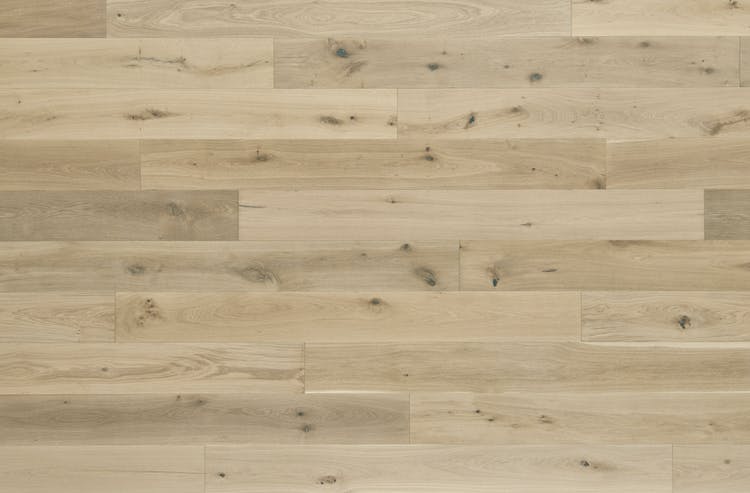 Sanctuary - Shell - Engineered Hardwood