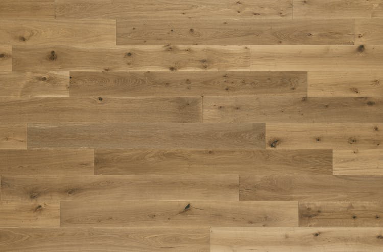 Sanctuary - Oyster - Engineered Hardwood