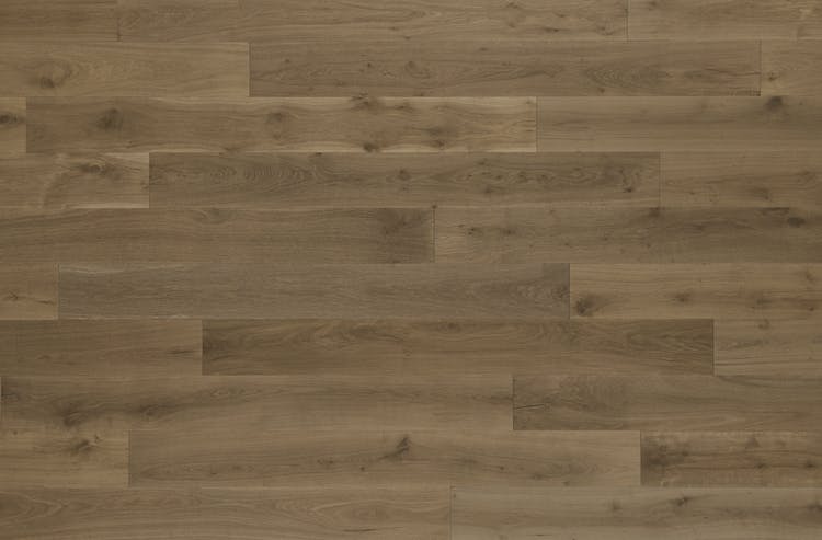 Sanctuary - Meadow - Engineered Hardwood