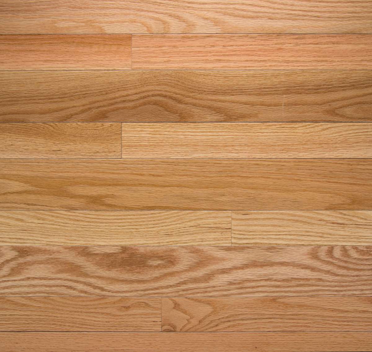 High Gloss - Natural Red Oak - Solid Hardwood