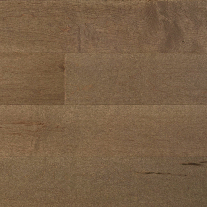 Canadian Hard Maple - Matisse - Engineered Hardwood