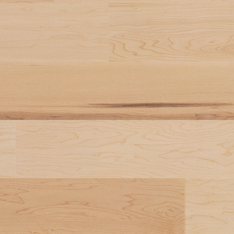 Canadian Hard Maple - Silenzio - Engineered Hardwood