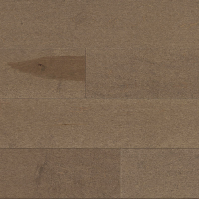 Canadian Hard Maple - Valencia - Engineered Hardwood