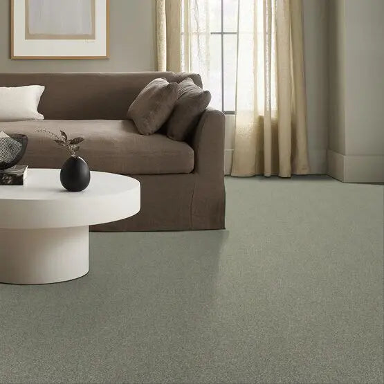 Pet Perfect - Oliver's Twist - Carpet