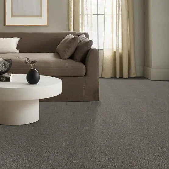 Pet Perfect - Oliver's Twist - Carpet