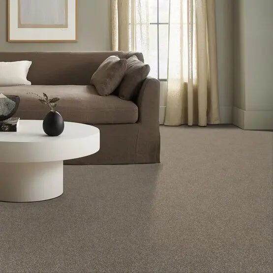 Pet Perfect - Oliver's Twist - Carpet