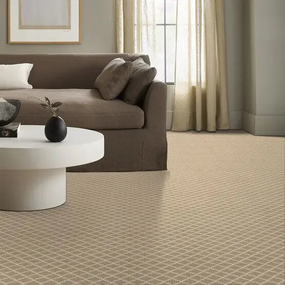 Pet Perfect - Springer's Point - Carpet Anderson Tuftex
