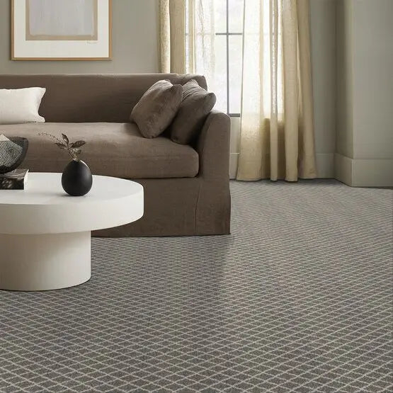 Pet Perfect - Springer's Point - Carpet Anderson Tuftex