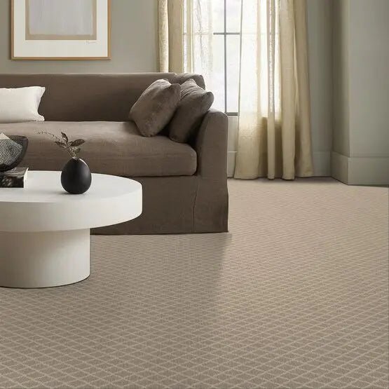 Pet Perfect - Springer's Point - Carpet Anderson Tuftex