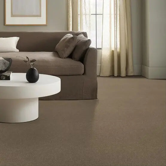 Classics - Explorer - Carpet