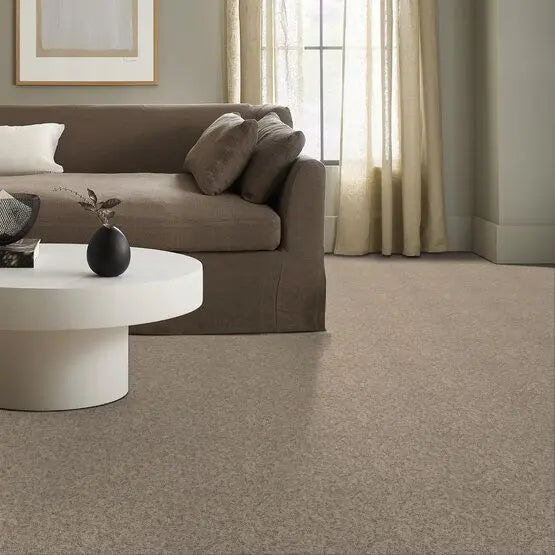 Classics - Explorer - Carpet