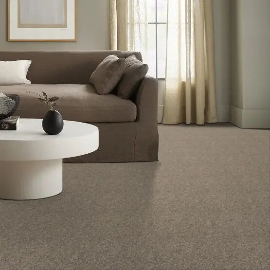 Classics - Explorer - Carpet