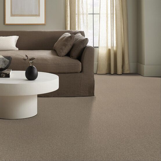 Classics - Terra Nova - Carpet