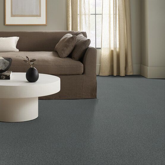 Classics - Terra Nova - Carpet