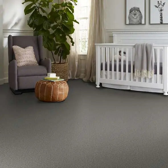 Colorwall - Tweed Comfort I - Carpet Shaw Floors