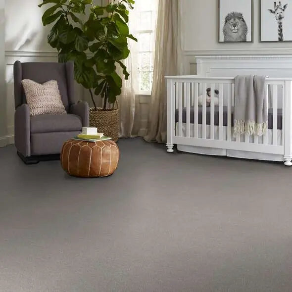 Caress - Cozy Harbor I - Carpet Shaw Floors