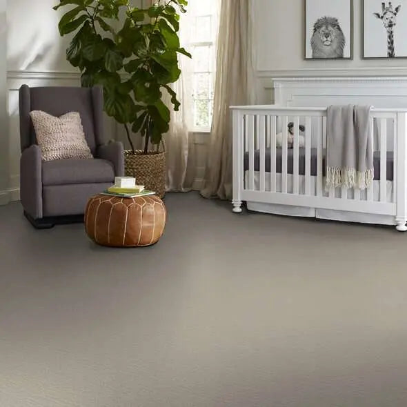 Colorwall - Creating Memories - Carpet Shaw Floors