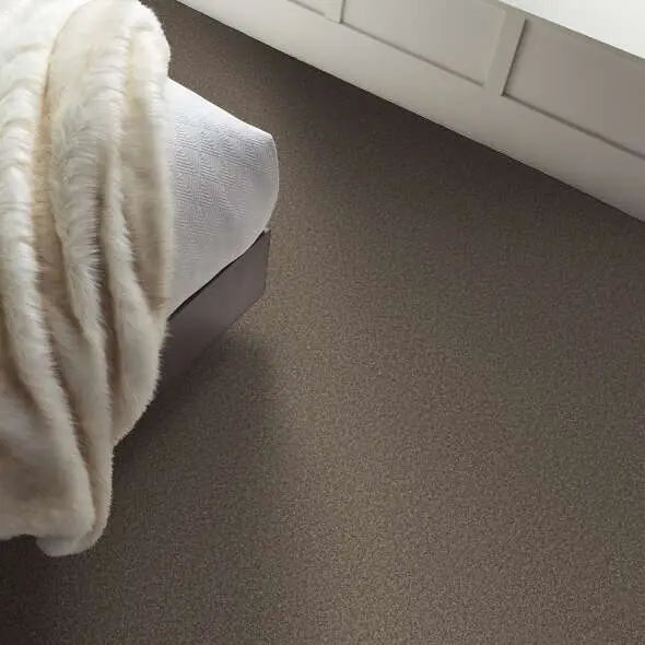 Colorwall - Tweed Comfort I - Carpet Shaw Floors