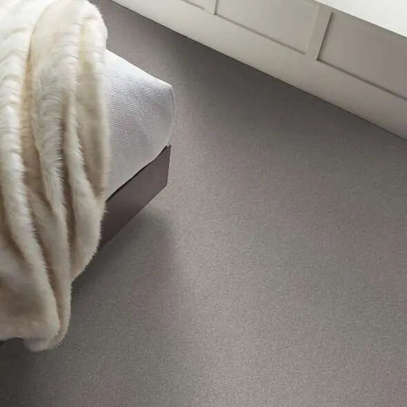 Caress - Cozy Harbor I - Carpet Shaw Floors