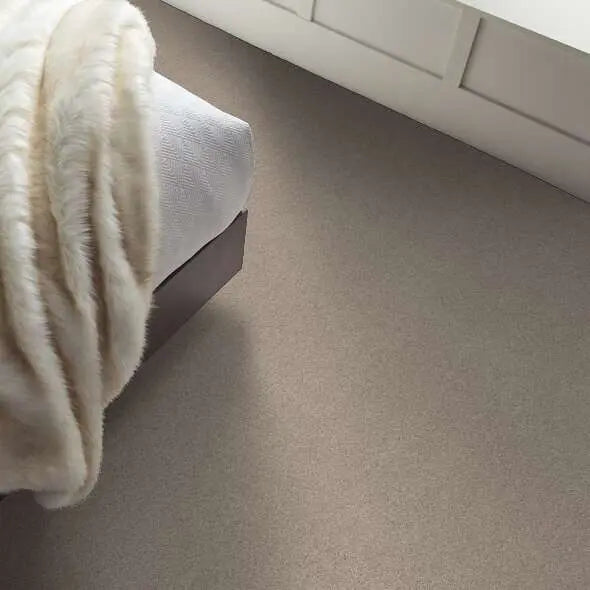 Caress - Cozy Harbor I - Carpet Shaw Floors