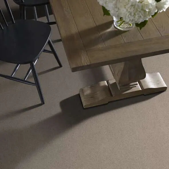 Caress - Cozy Harbor I - Carpet Shaw Floors