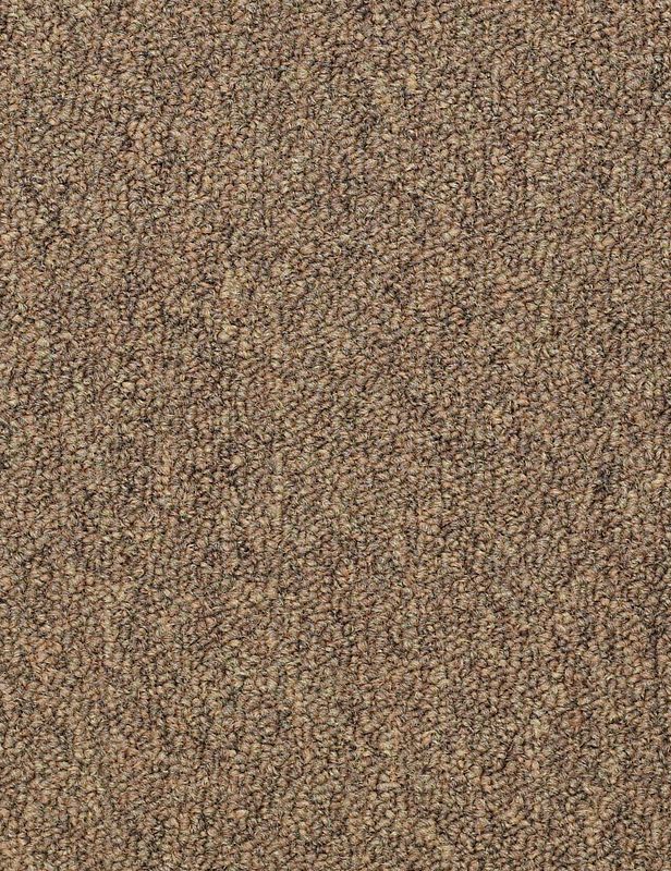 Broadloom - Capital III BL - Carpet