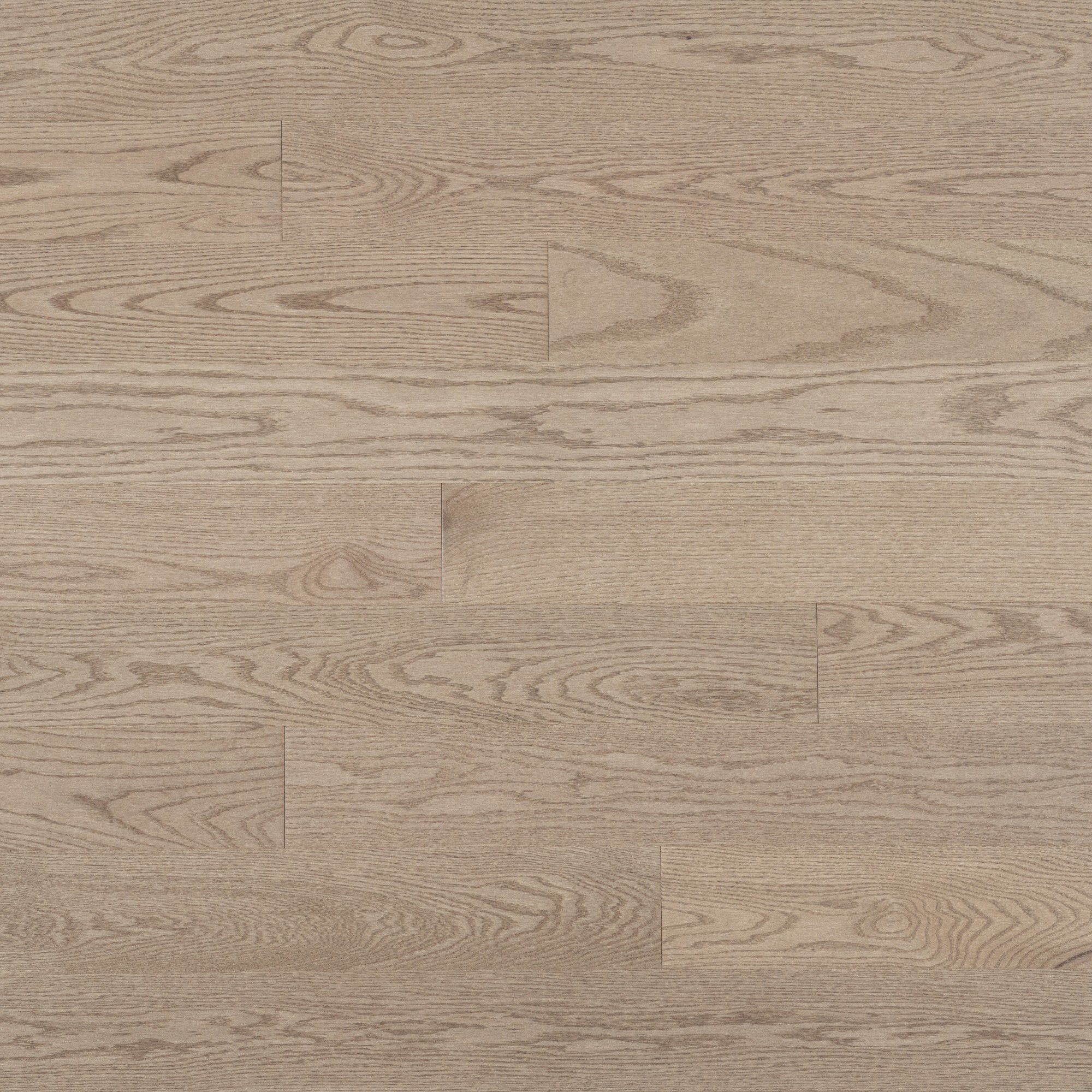 Admiration - Red Oak Rio Exclusive Smooth - Hardwood