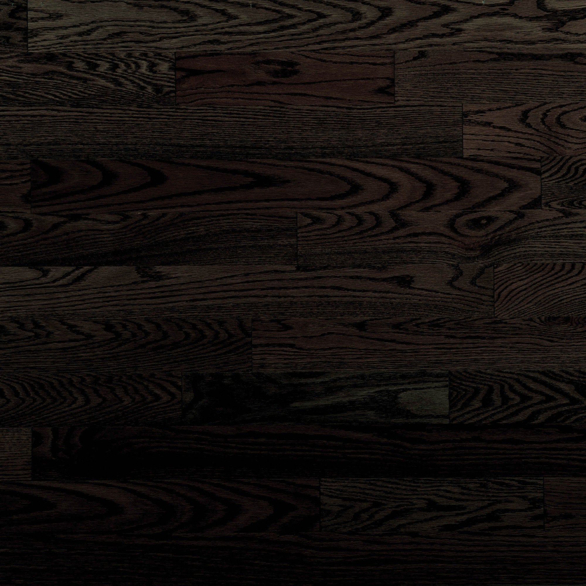 Admiration - Red Oak Graphite Exclusive Smooth - Hardwood