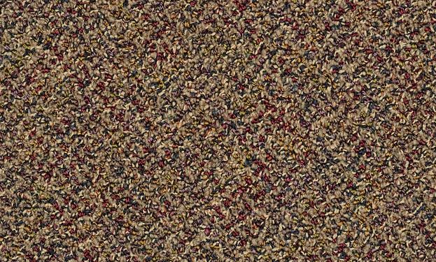 Broadloom - Changinattepbl - Carpet