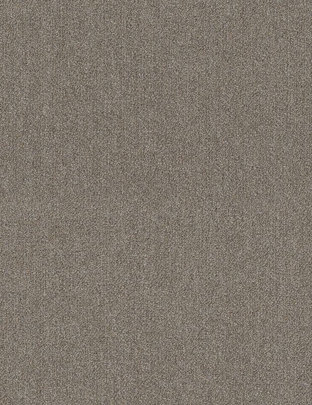 Broadloom - Profusion - Carpet