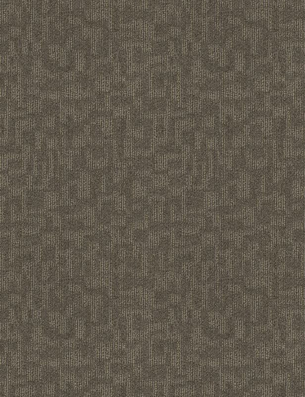 Broadloom - Forge - Carpet