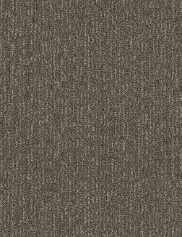 Broadloom - Forge - Carpet