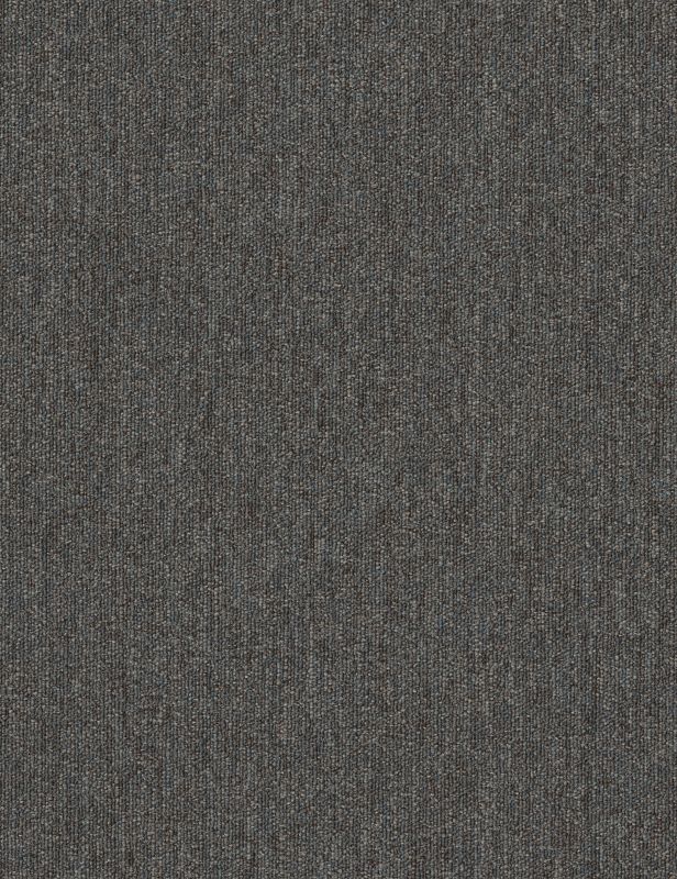 Broadloom - Profusion 26 - Carpet