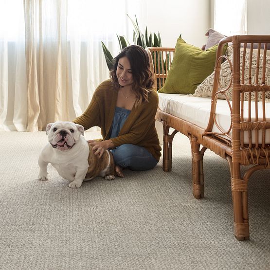 Pet Perfect - Fetch - Carpet