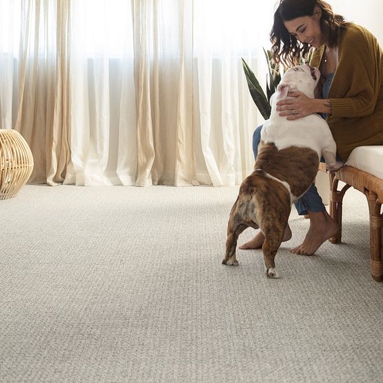Pet Perfect - Fetch - Carpet