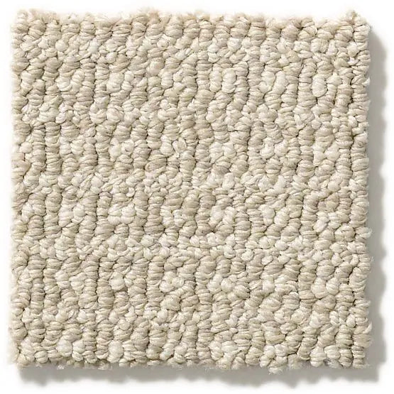 Anderson Tuftex Pet Perfect - Fetch - Carpet