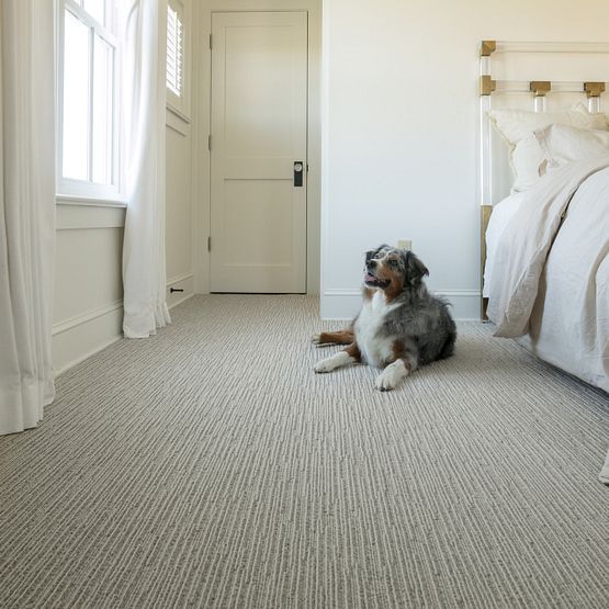 Pet Perfect - Chase - Carpet