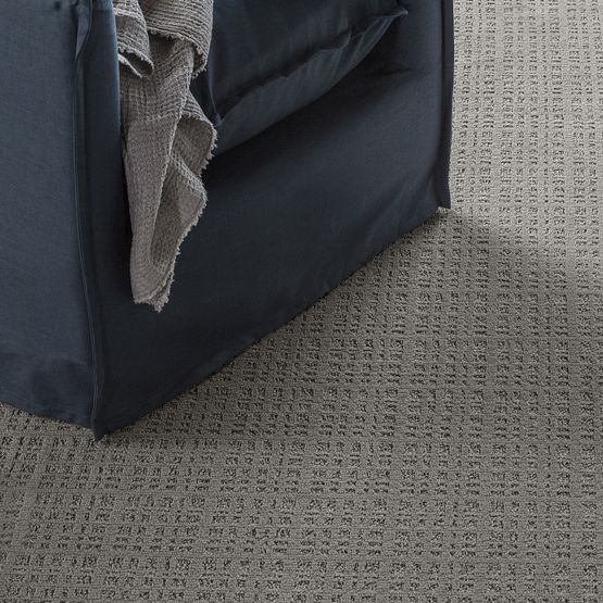 Pet Perfect - Purrsuasion - Carpet