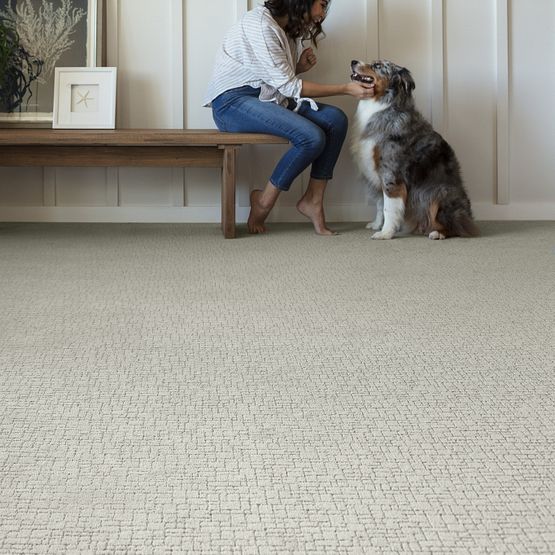 Pet Perfect - Faux Paw - Carpet