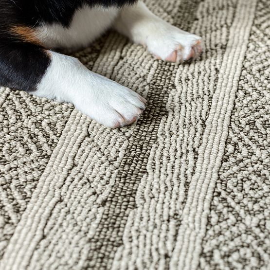 Pet Perfect - Speak - Carpet