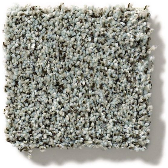 Pet Perfect - The Bark Side I - Carpet