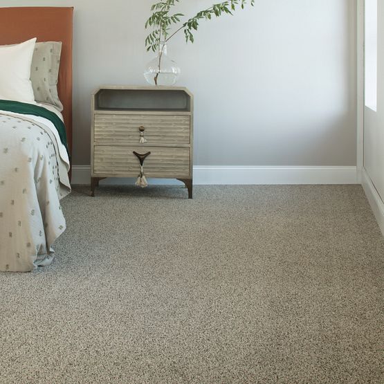 Pet Perfect - The Bark Side I - Carpet