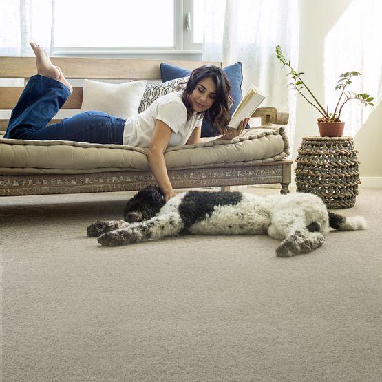 Pet Perfect - Pawparazzi I - Carpet