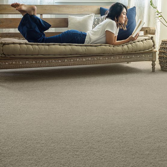 Pet Perfect - Pawparazzi II - Carpet