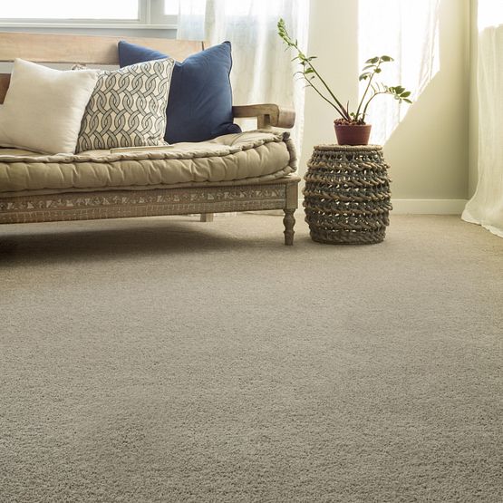 Pet Perfect - Pawparazzi II - Carpet