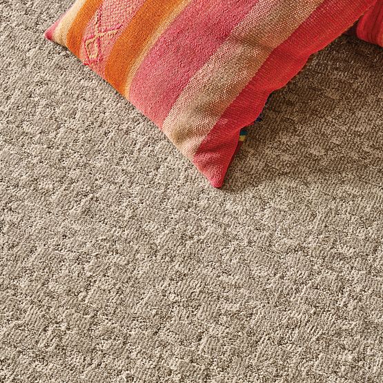 Pet Perfect - Paw-Tay - Carpet